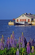 CANADA;PRINCE_EDWARD_ISLAND;QUEENS_COUNTY;VICTORIA_BY_THE_SEA;BOATS;BUILDINGS;SH